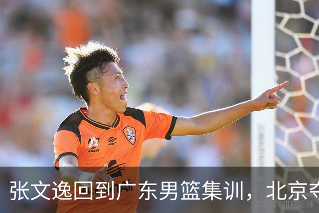 张文逸回到广东男篮集训，北京夺冠功勋确定退役，上海欲续约弗格
